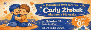Reklama, dzierzoniow.pead.pl